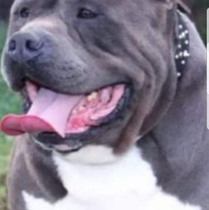 Meet your Posher, Lightfoot